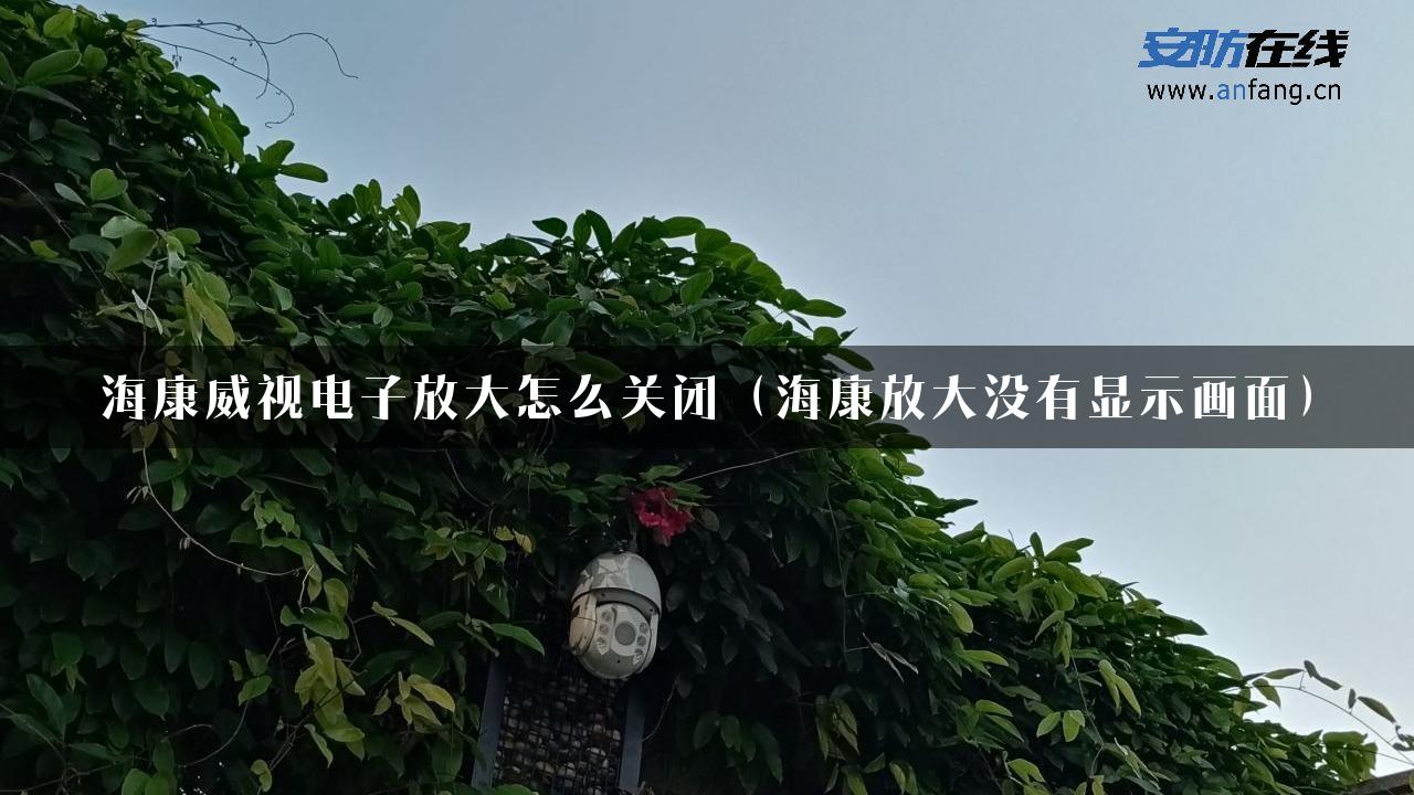 海康威视电子放大怎么关闭（海康放大没有显示画面）