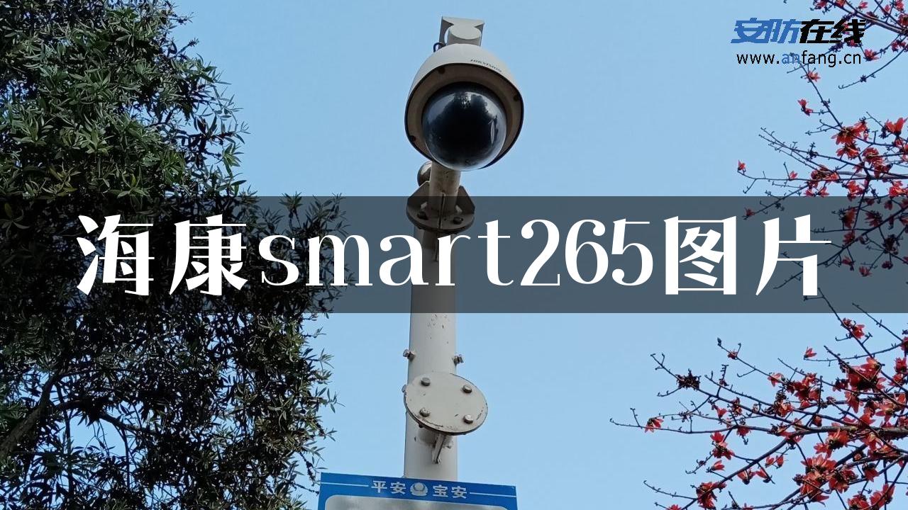 海康smart265图片