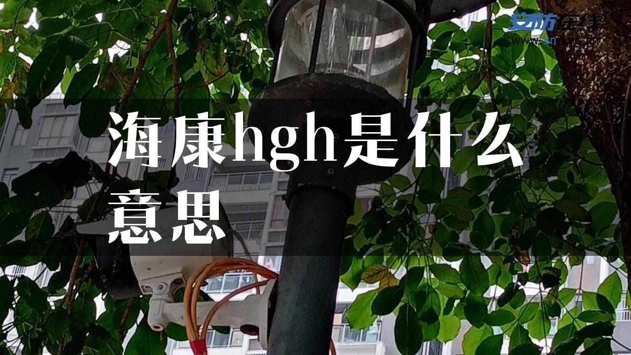 海康hgh是什么意思