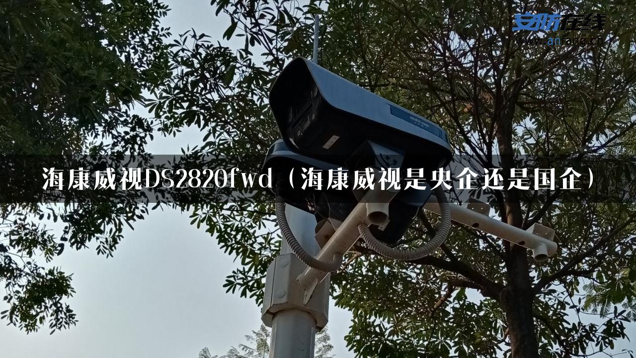 海康威视DS2820fwd（海康威视是央企还是国企）