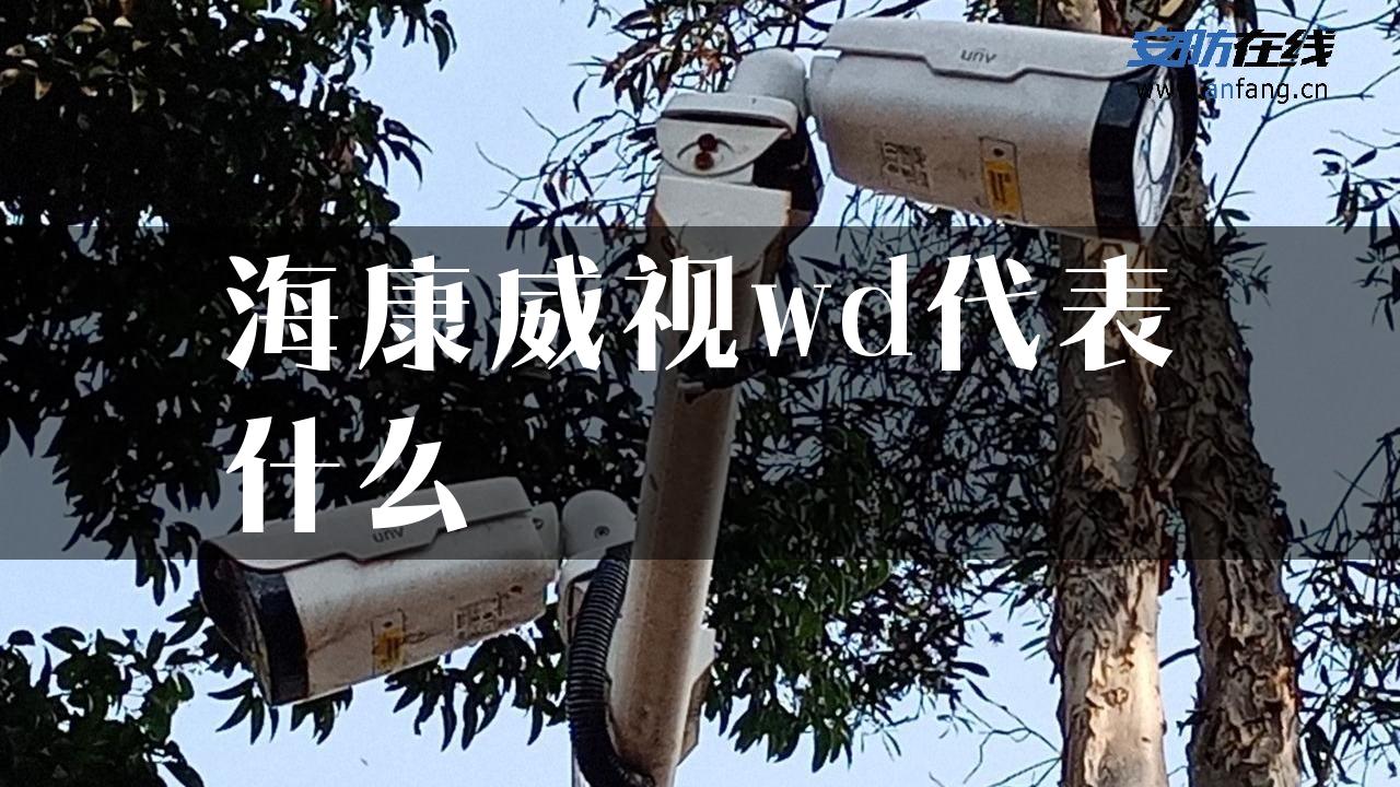 海康威视wd代表什么