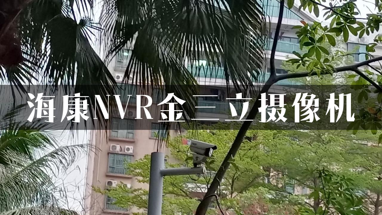 海康NVR金三立摄像机