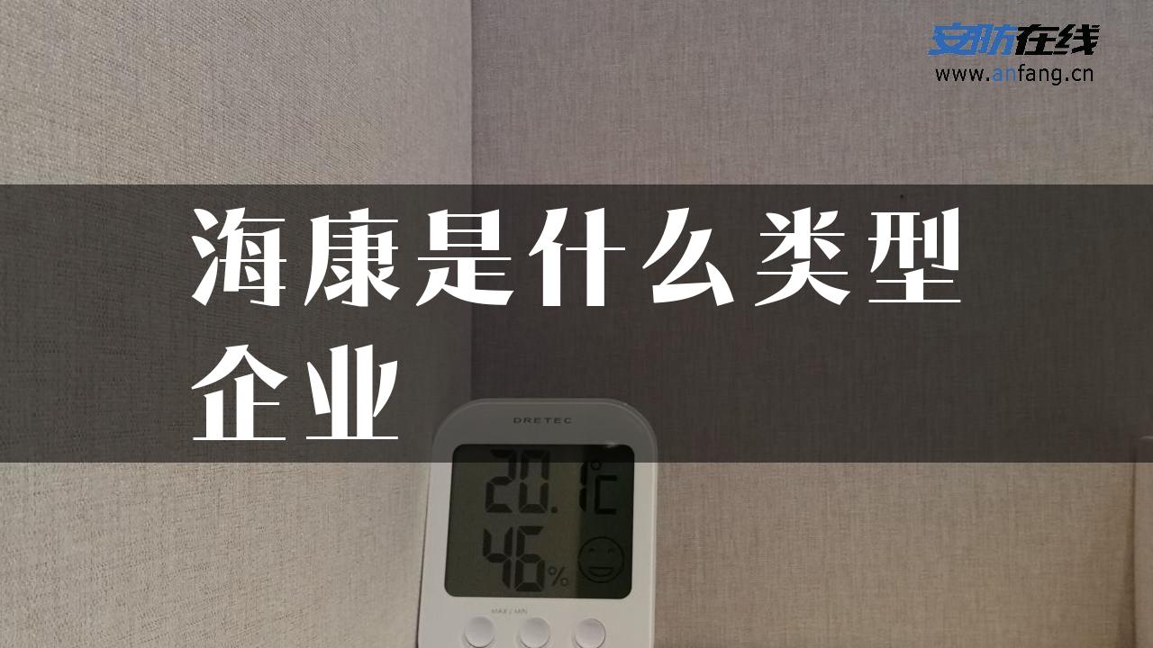 海康是什么类型企业