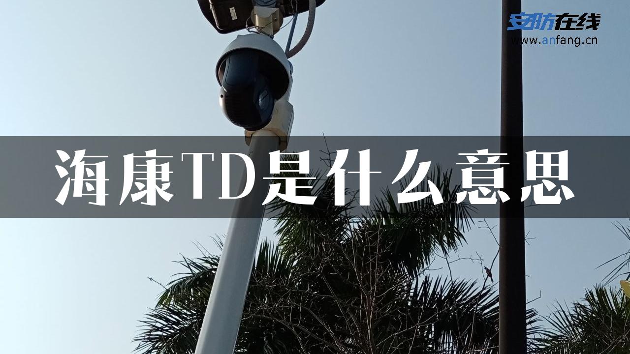 海康TD是什么意思