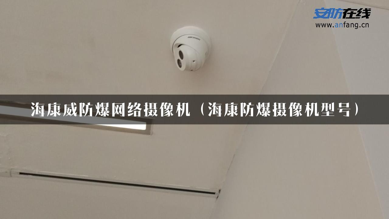 海康威防爆网络摄像机（海康防爆摄像机型号）