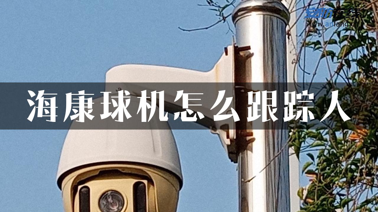 海康球机怎么跟踪人