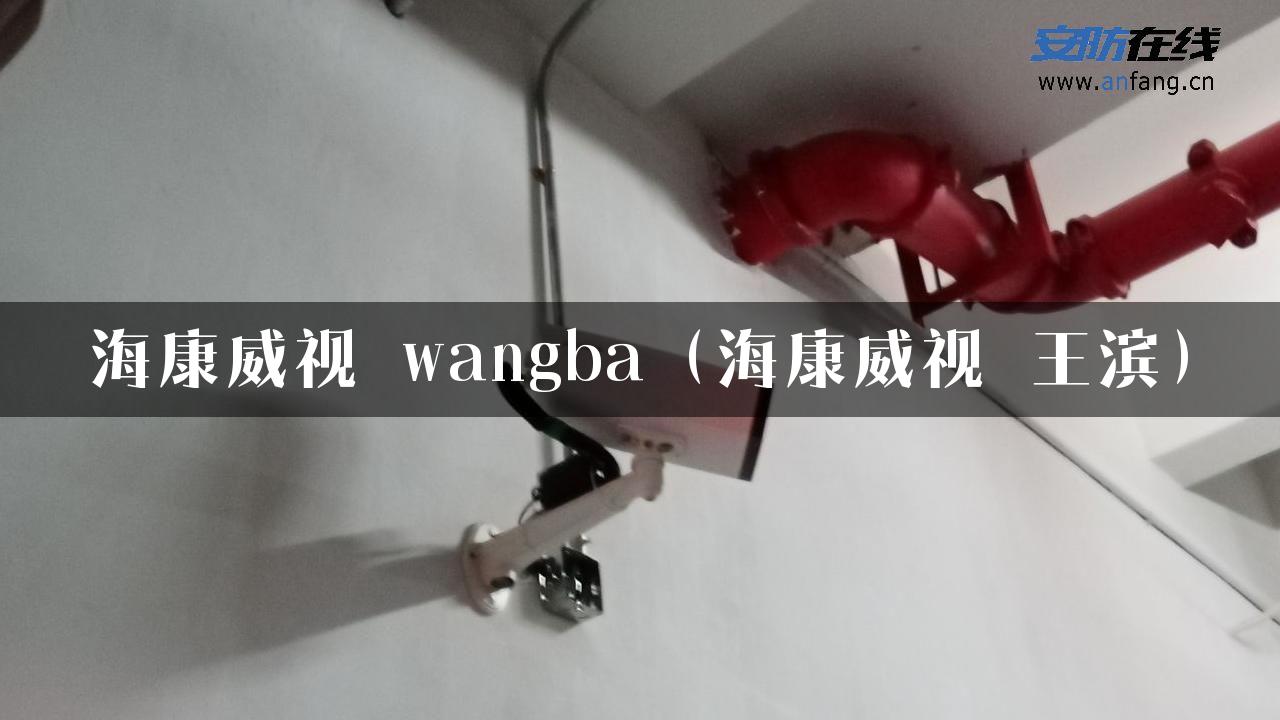 海康威视 wangba（海康威视 王滨）