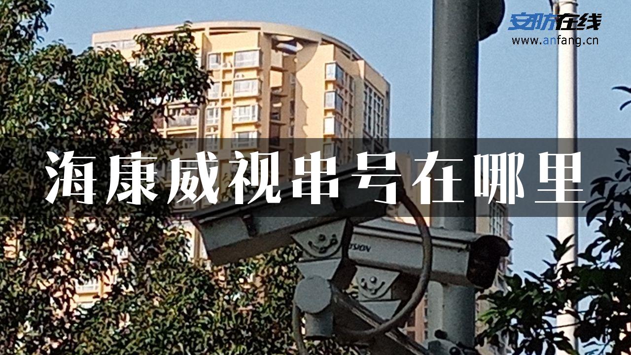 海康威视串号在哪里