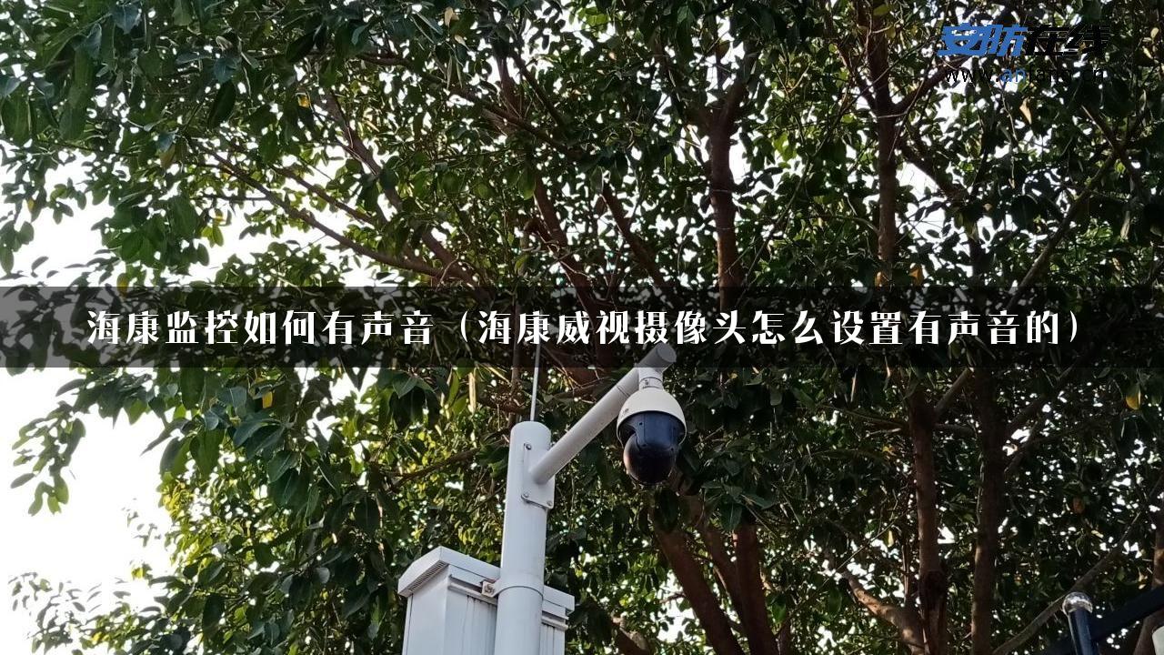 海康监控如何有声音（海康威视摄像头怎么设置有声音的）