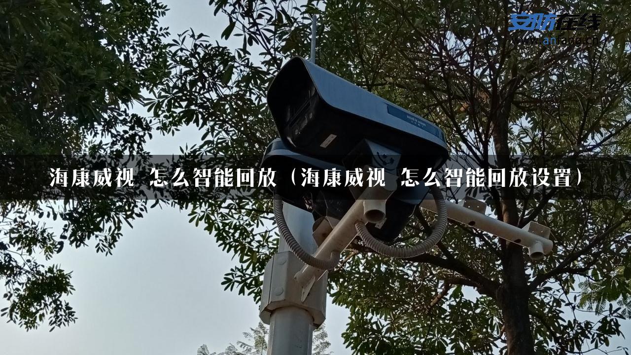 海康威视 怎么智能回放（海康威视 怎么智能回放设置）