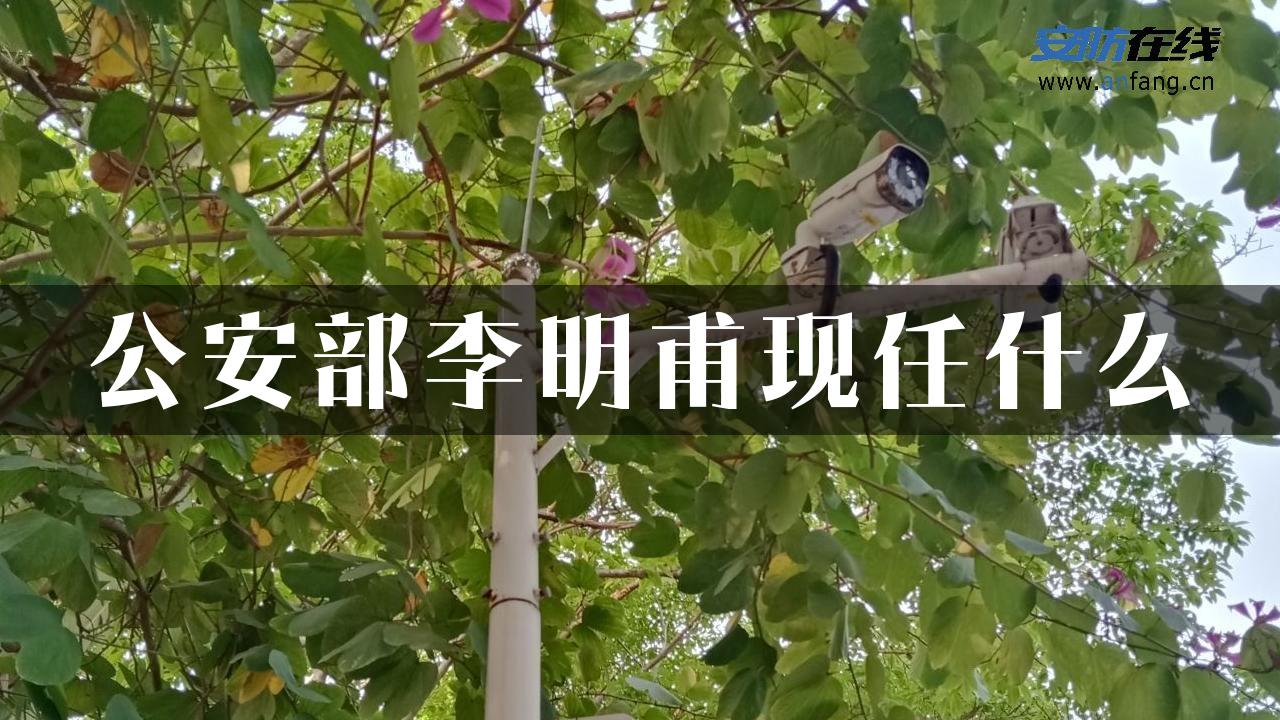 公安部李明甫现任什么