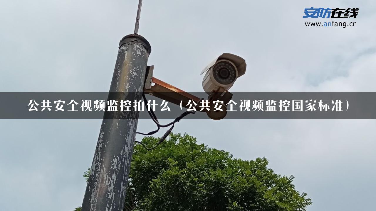 公共安全视频监控拍什么（公共安全视频监控国家标准）