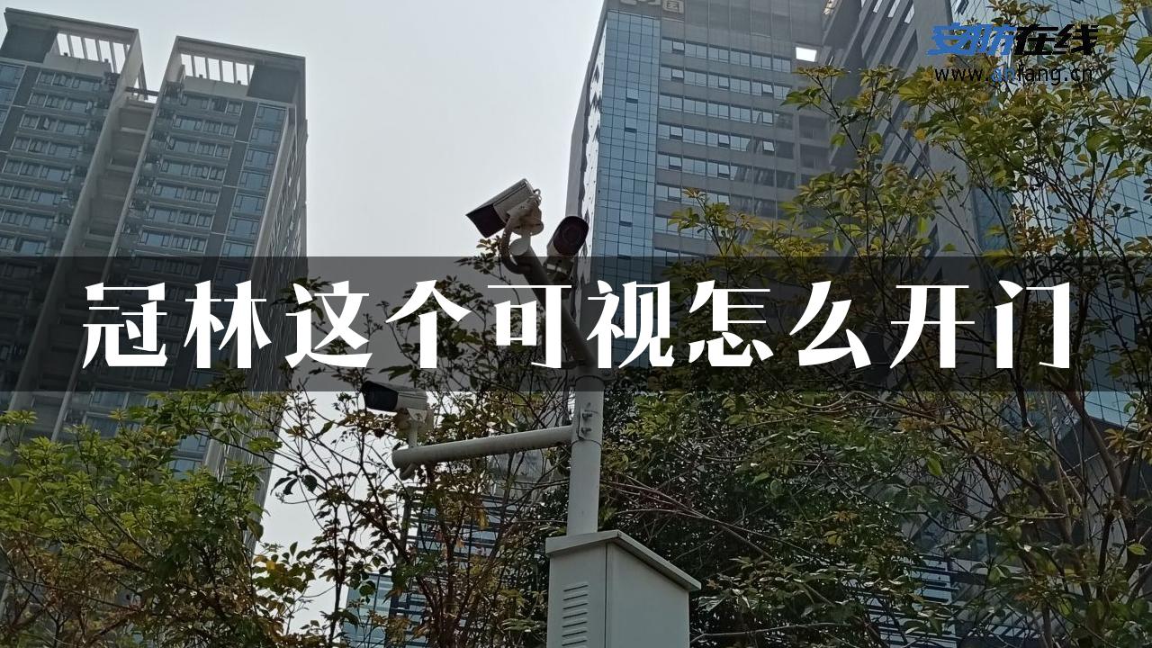 冠林这个可视怎么开门