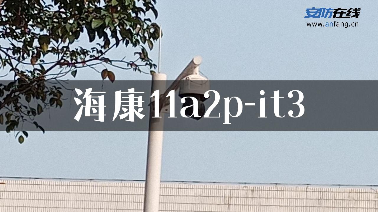 海康11a2p-it3