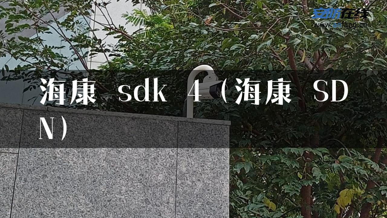 海康 sdk 4（海康 SDN）