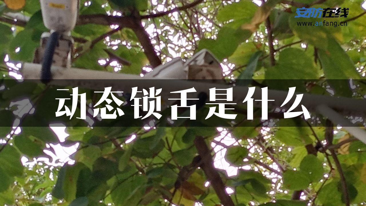 动态锁舌是什么