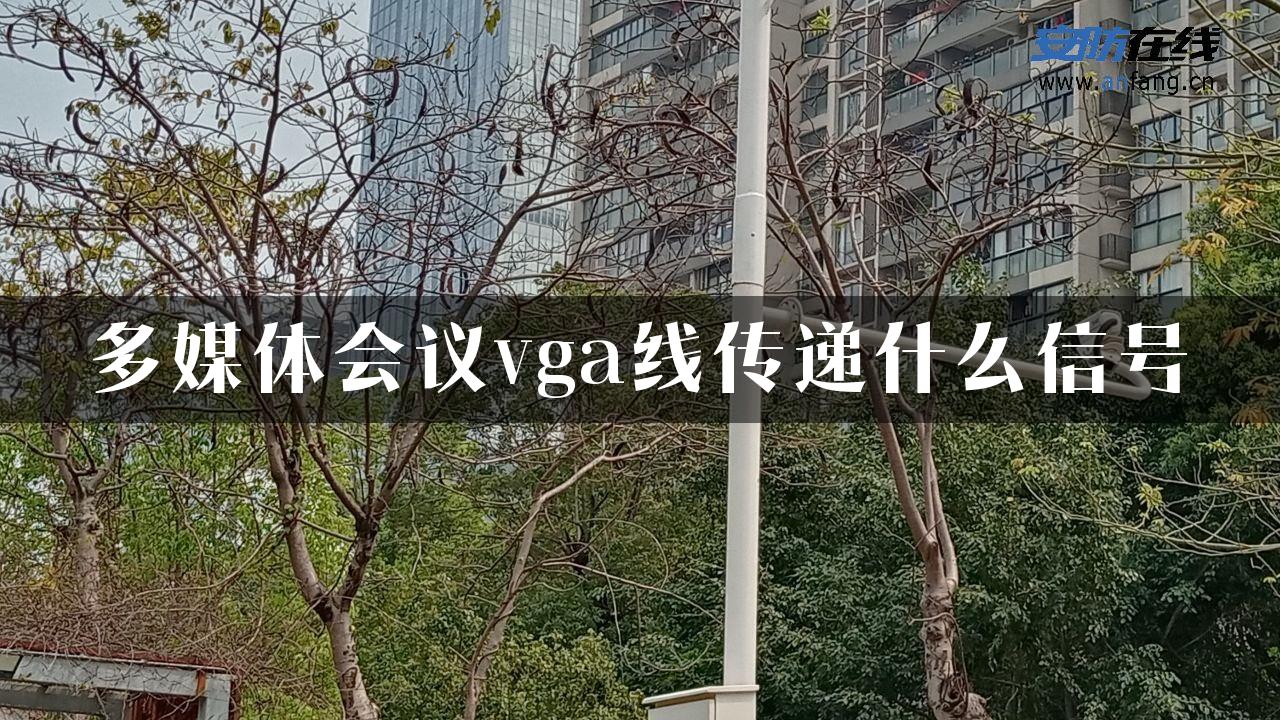 多媒体会议vga线传递什么信号