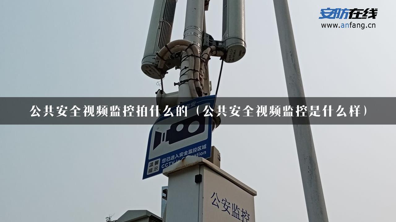 公共安全视频监控拍什么的（公共安全视频监控是什么样）