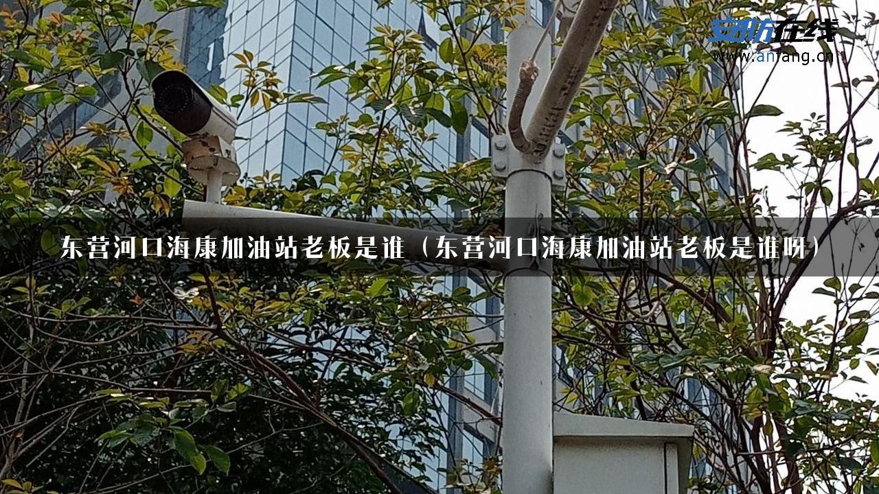 东营河口海康加油站老板是谁（东营河口海康加油站老板是谁呀）