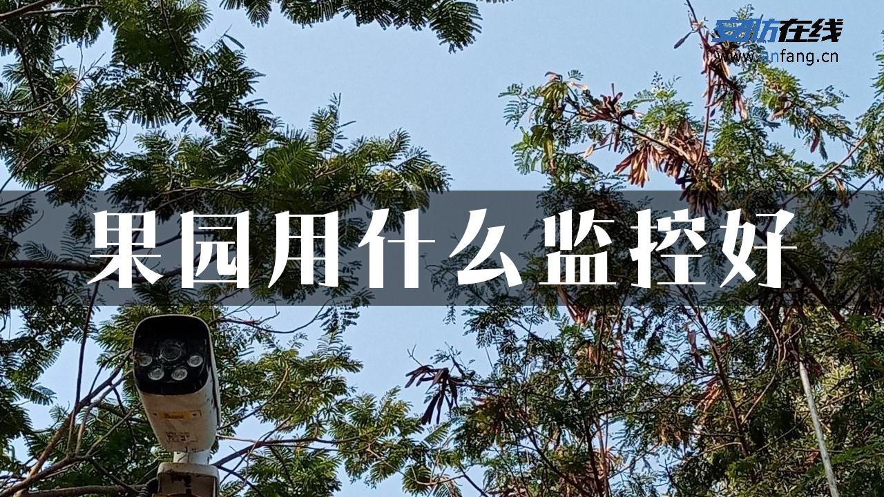 果园用什么监控好