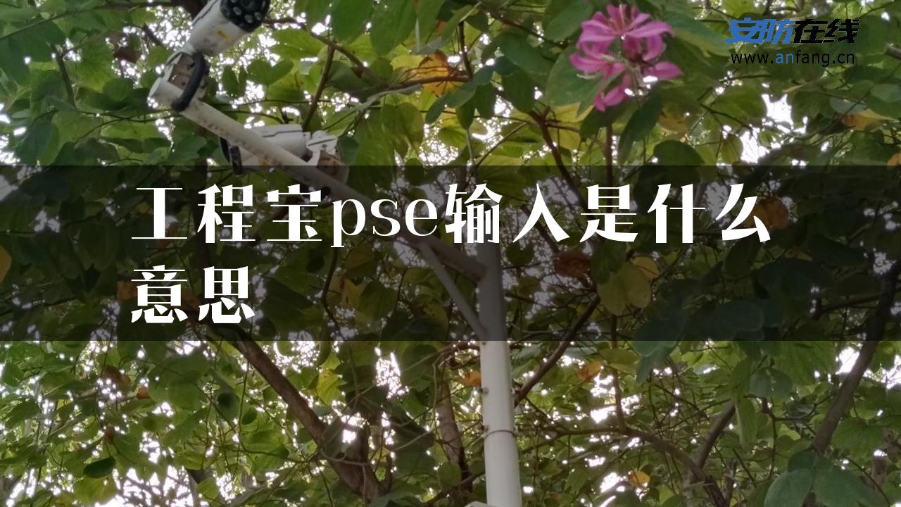 工程宝pse输入是什么意思