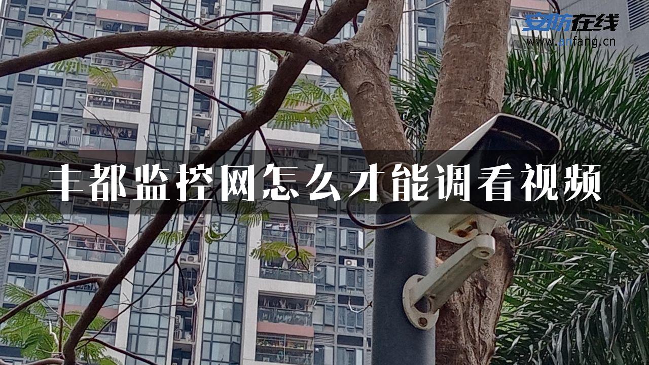 丰都监控网怎么才能调看视频