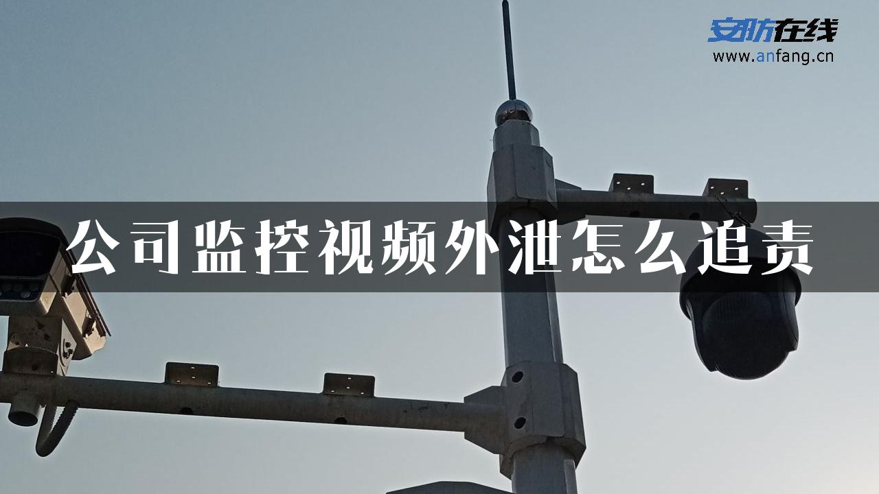 公司监控视频外泄怎么追责