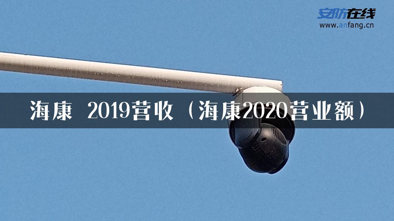 海康 2019营收（海康2020营业额）