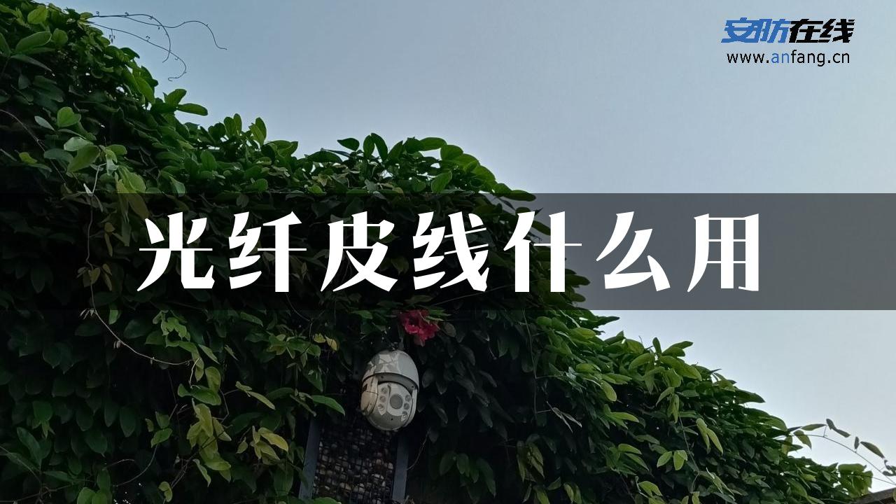 光纤皮线什么用