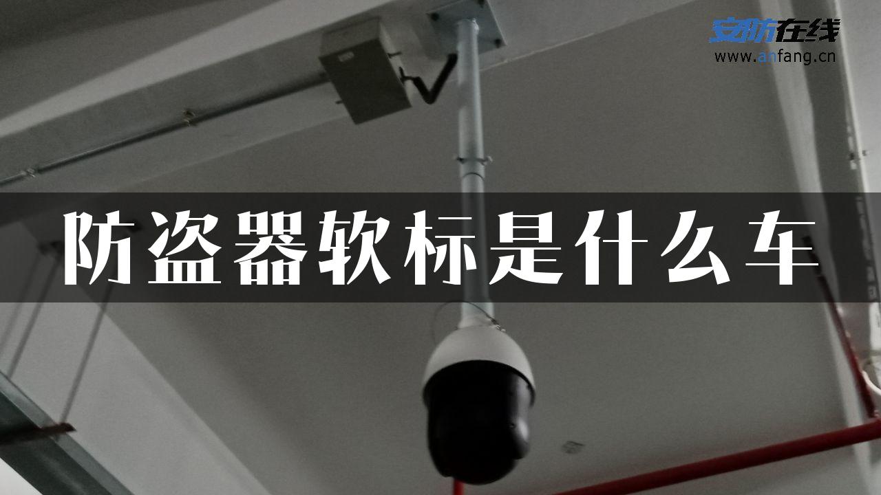 防盗器软标是什么车