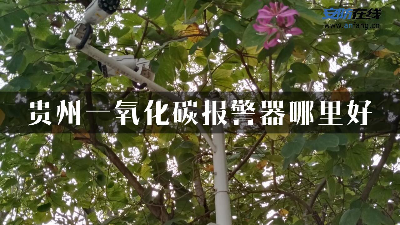 贵州一氧化碳报警器哪里好