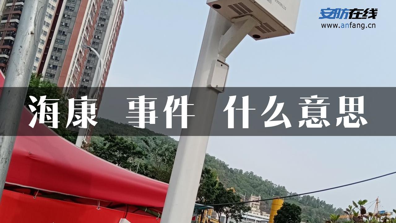 海康 事件 什么意思