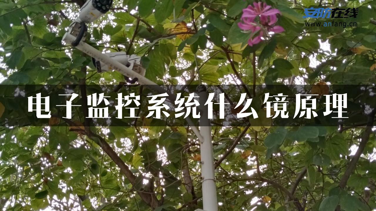 电子监控系统什么镜原理