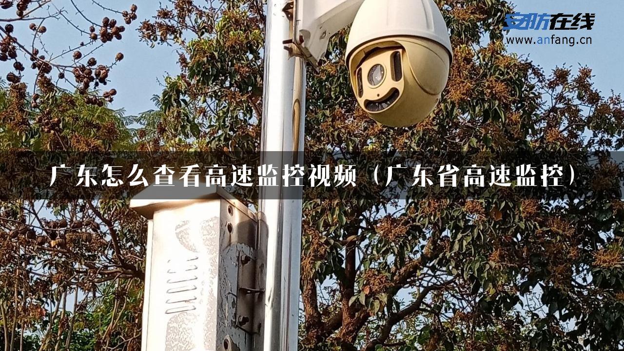 广东怎么查看高速监控视频（广东省高速监控）