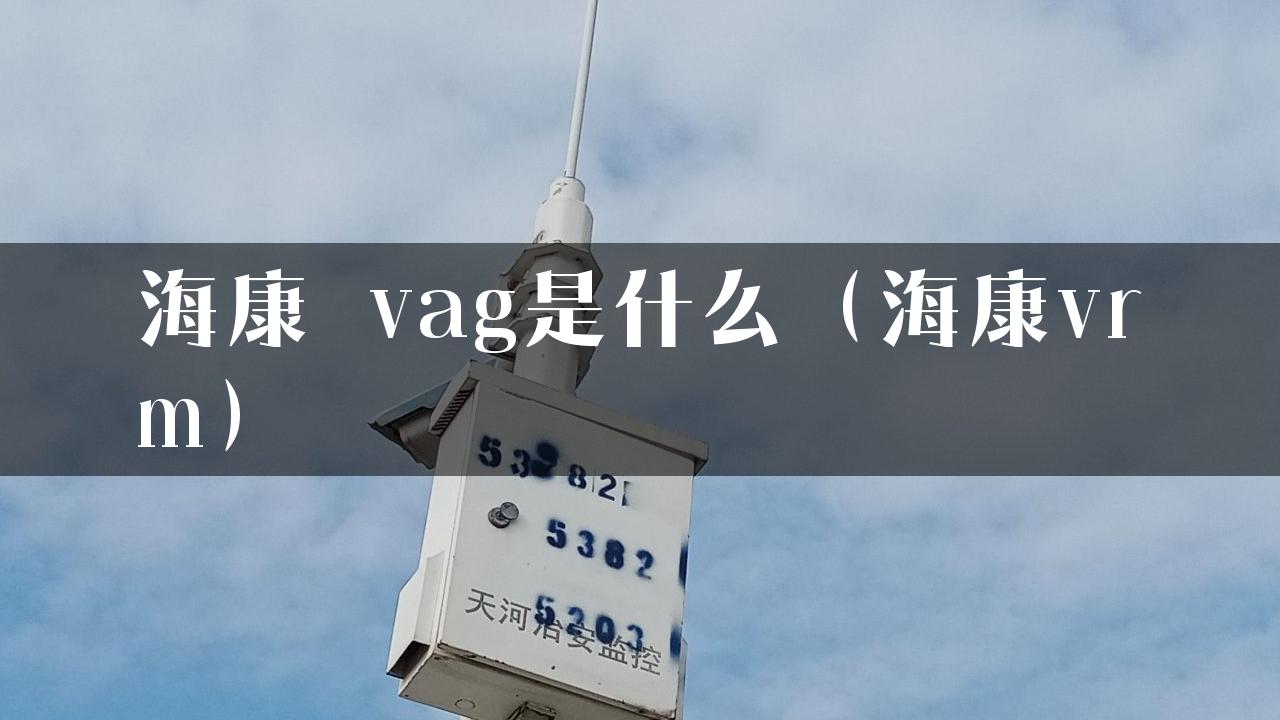 海康 vag是什么（海康vrm）