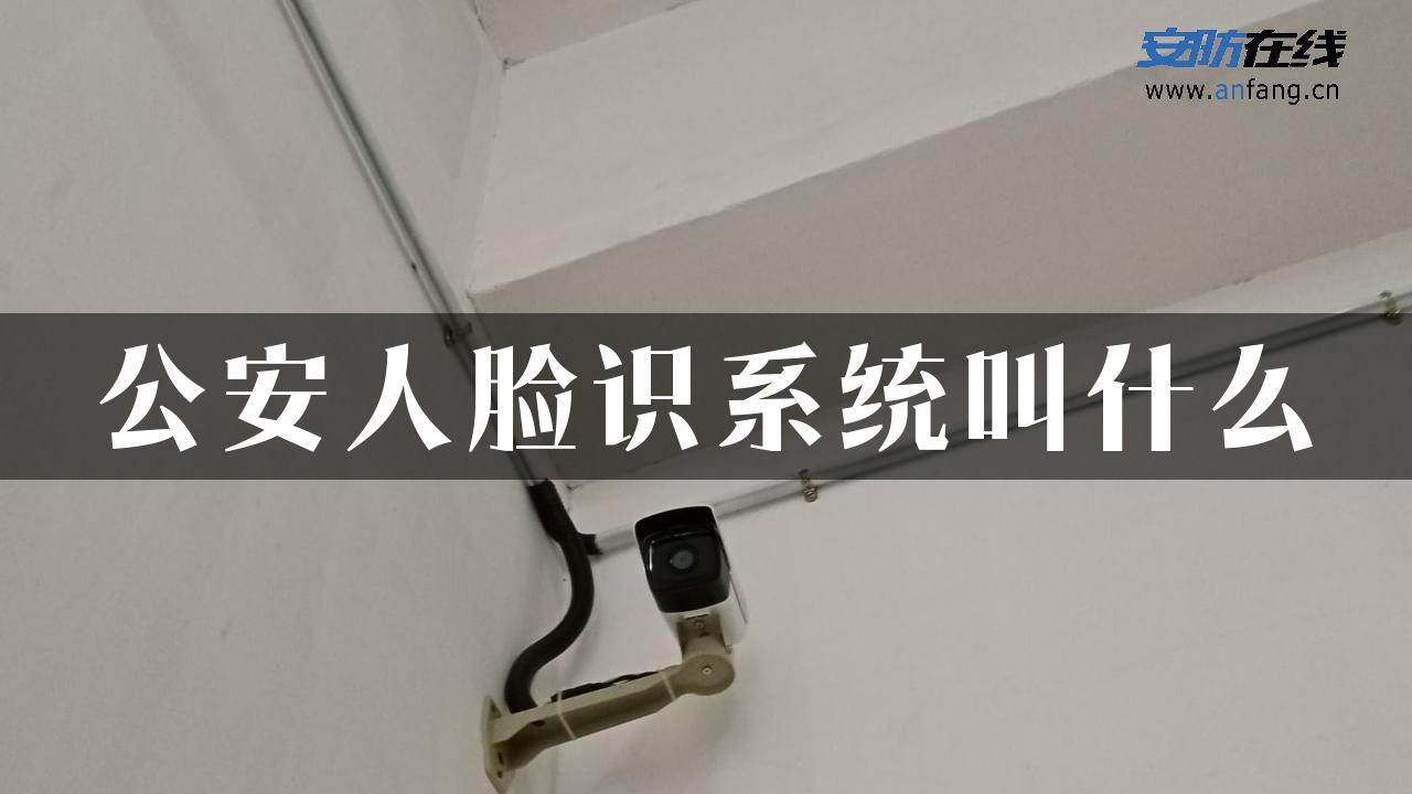 公安人脸识系统叫什么