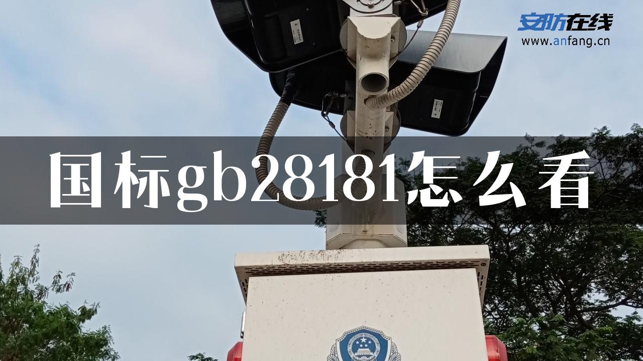 国标gb28181怎么看