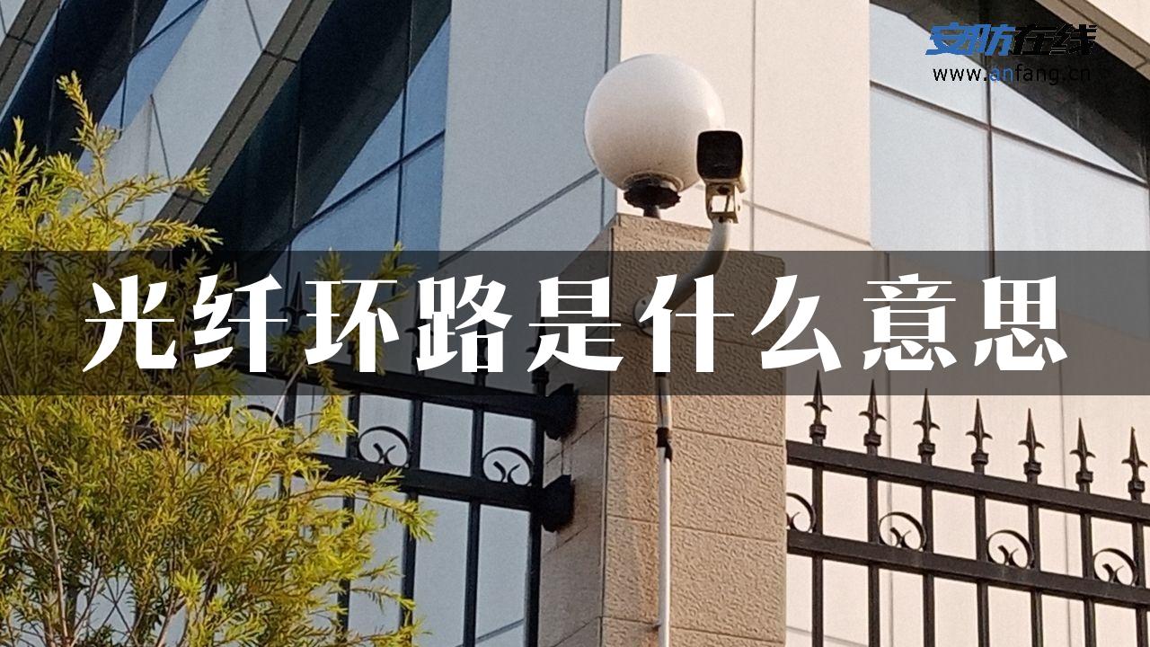 光纤环路是什么意思