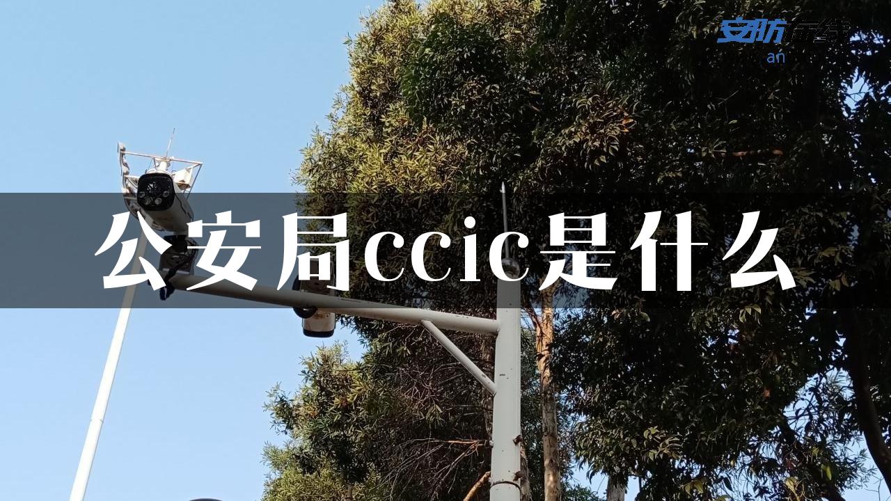 公安局ccic是什么