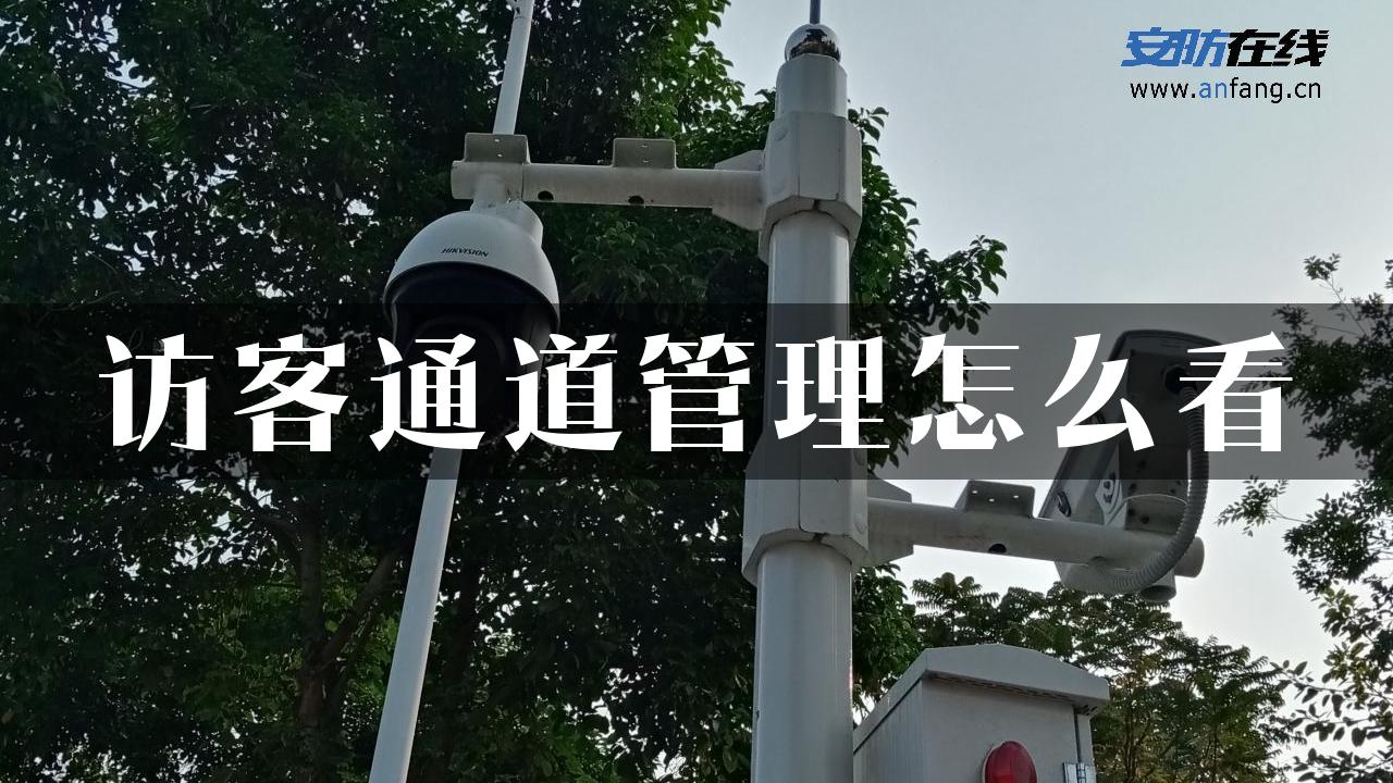 访客通道管理怎么看