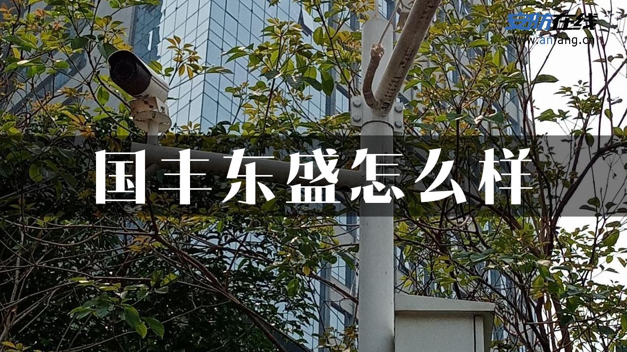 国丰东盛怎么样