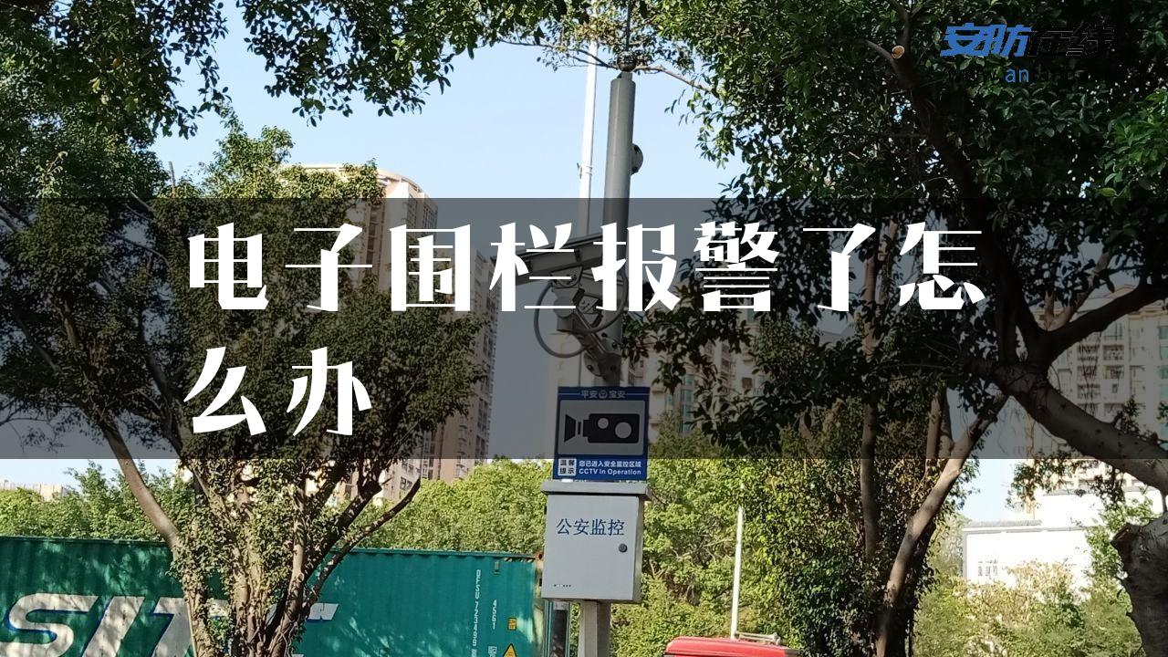 电子围栏报警了怎么办