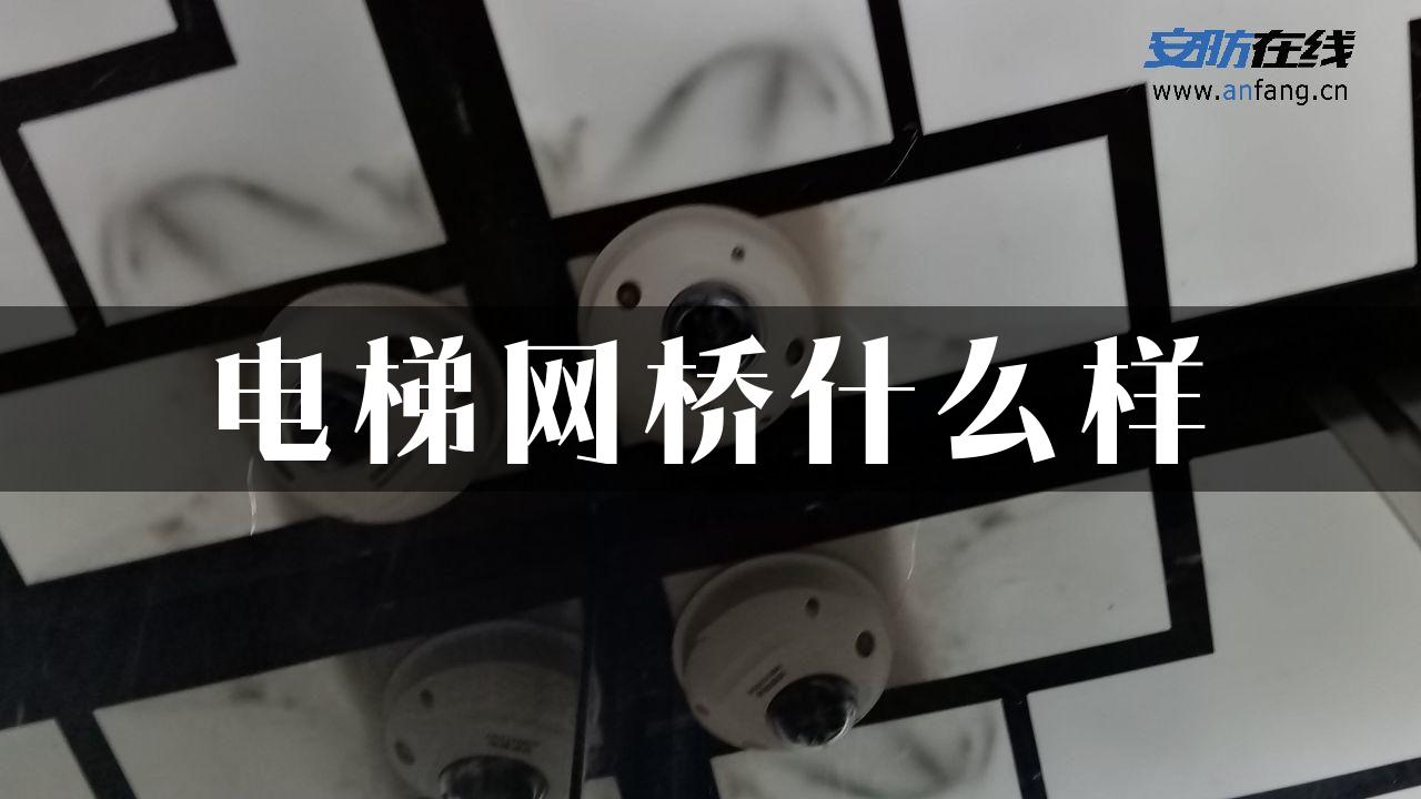 电梯网桥什么样