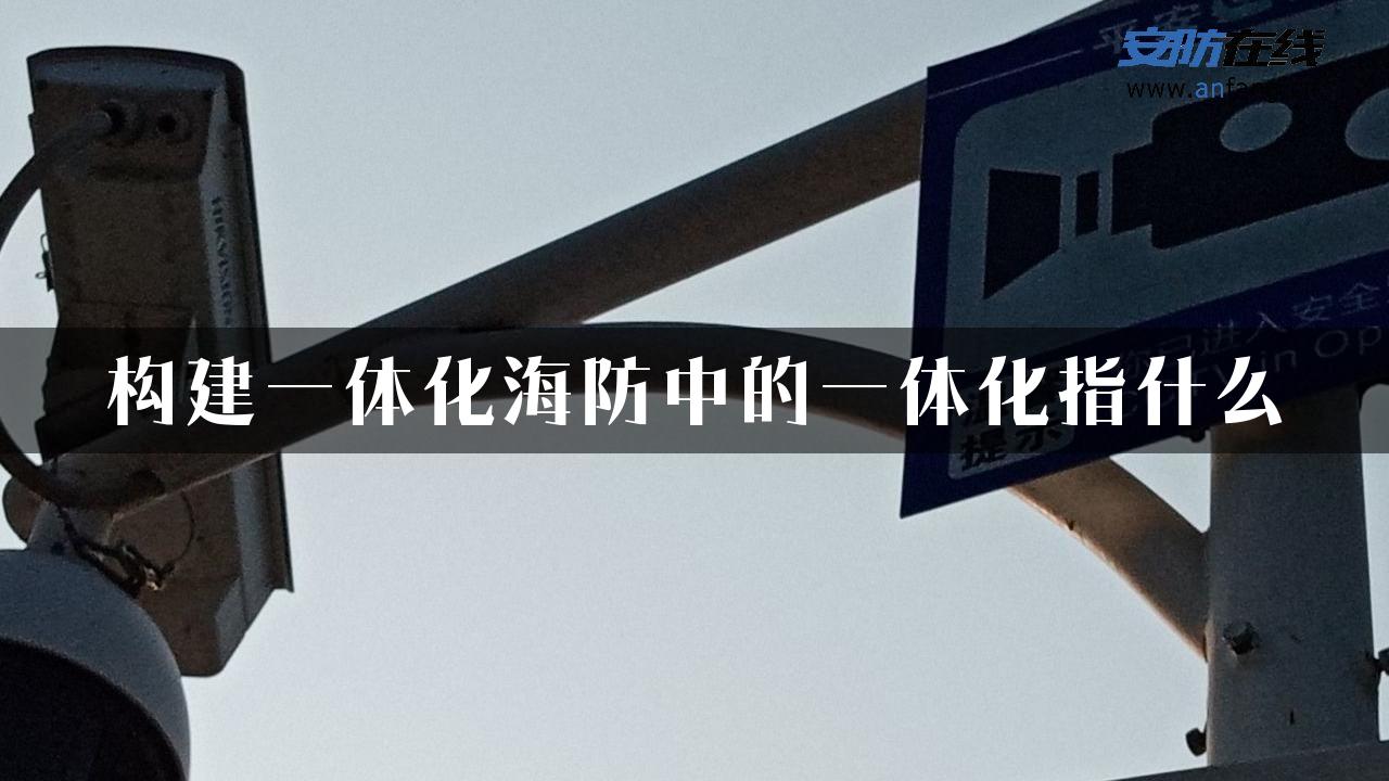 构建一体化海防中的一体化指什么