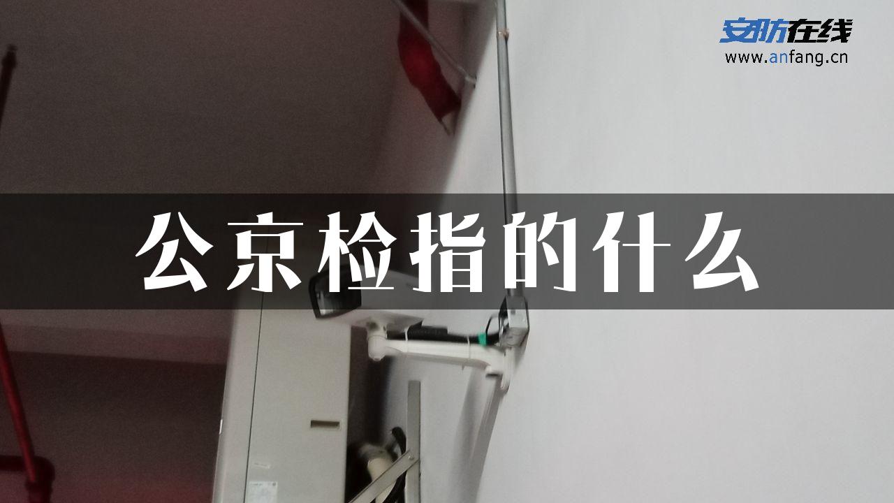 公京检指的什么