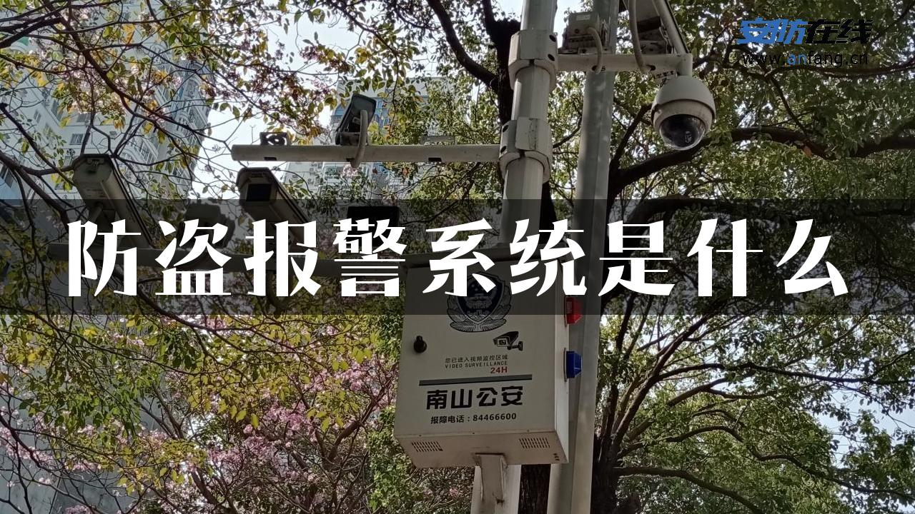 防盗报警系统是什么