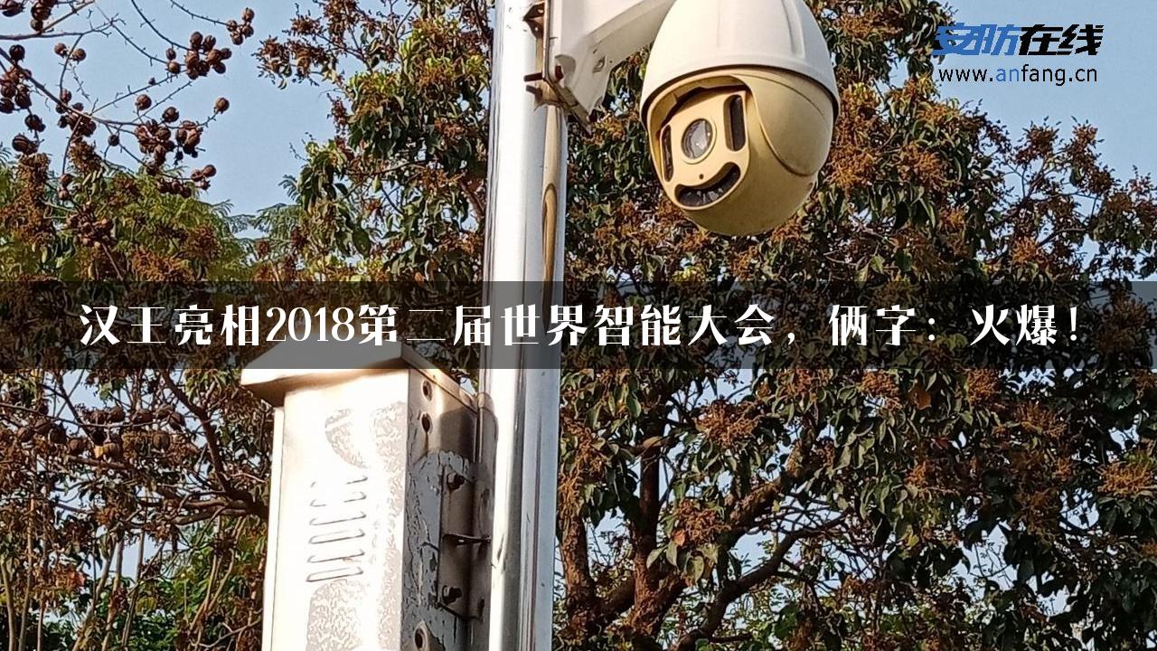 汉王亮相2018第二届世界智能大会，俩字：火爆！