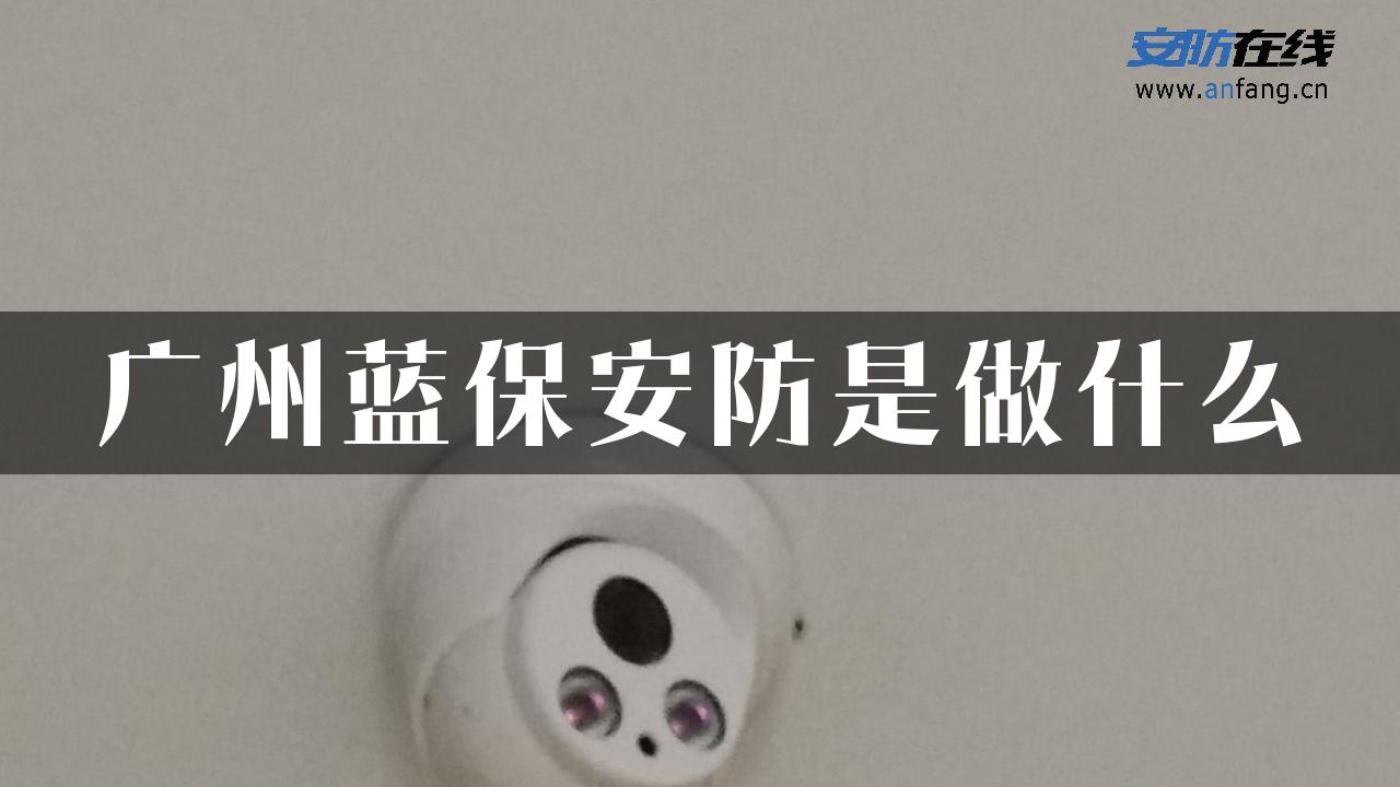 广州蓝保安防是做什么