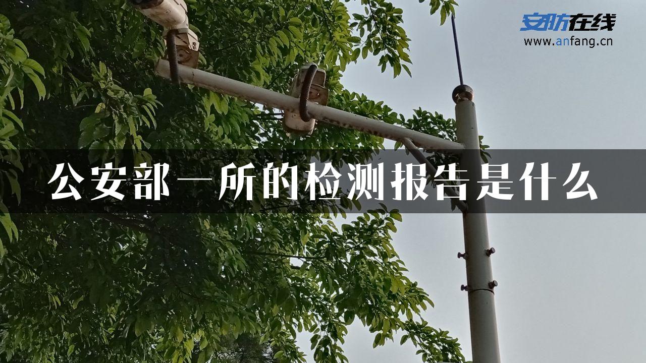 公安部一所的检测报告是什么