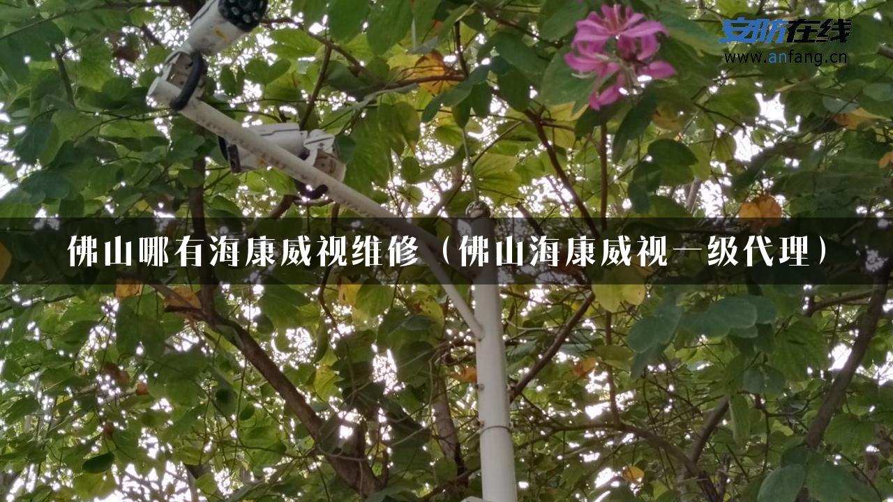 佛山哪有海康威视维修（佛山海康威视一级代理）